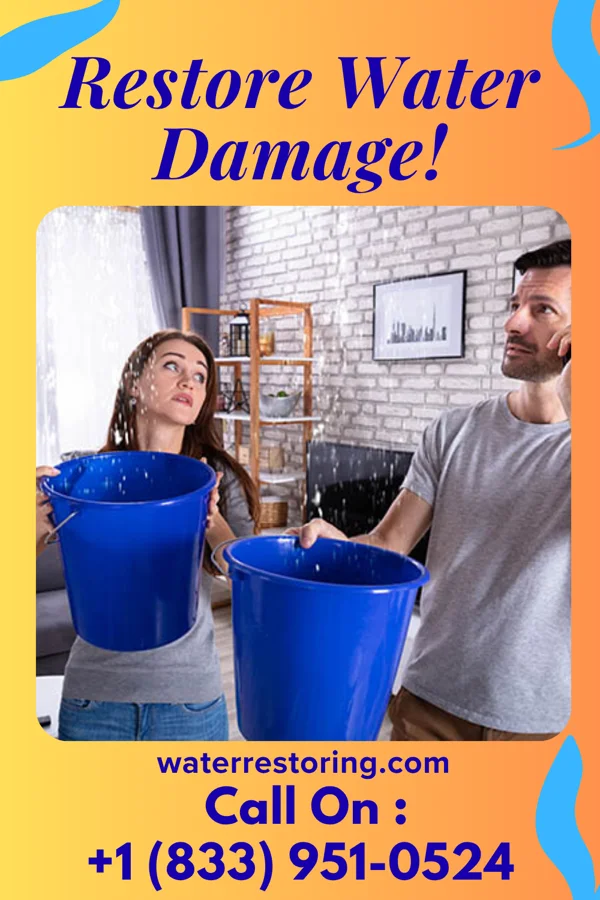 water restoration Rapid Disaster Recovery Company Glenford