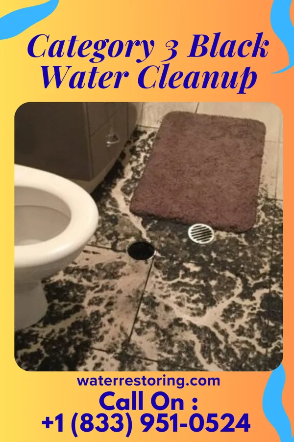 Category 3 Black Water Cleanup in Glenford, OH