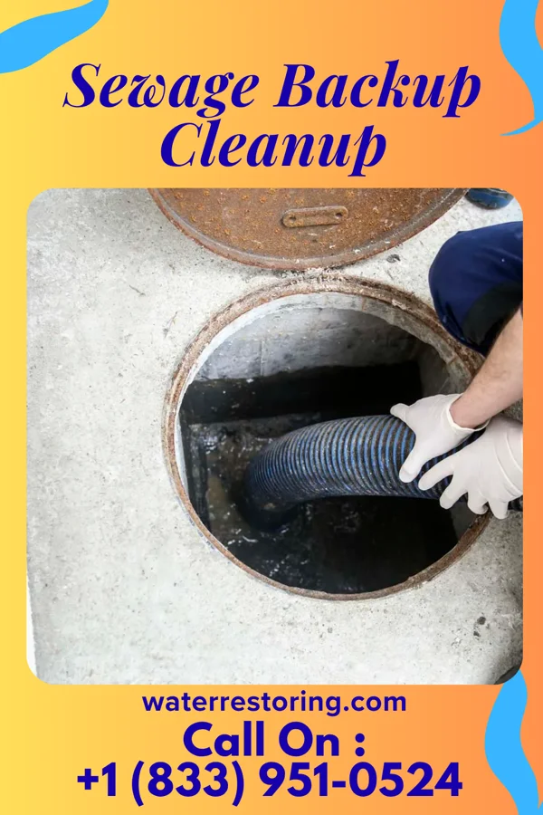Sewage Backup Cleanup in Glenford, OH
